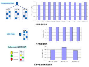 上海伯豪生物技術(shù) SBC miRNA芯片服務(wù)促銷行動(dòng)與全方位實(shí)驗(yàn)技術(shù)解決方案